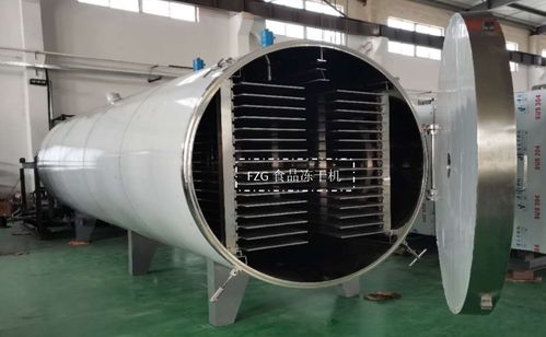 大型食品凍干機(jī)交付廣西，賦能果蔬凍干深加工技術(shù)升級(jí)